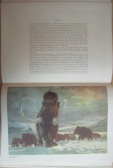 Аугуста И., Буриан З.	По путям развития жизни. 5