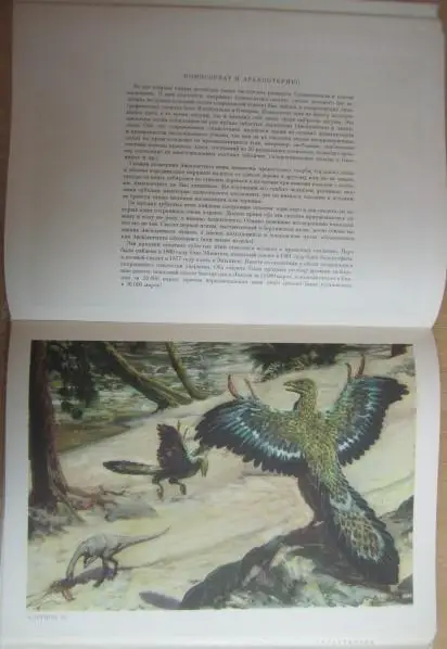 Аугуста И., Буриан З.	По путям развития жизни. 6