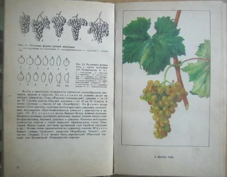 Коваль Н.М., Комарова Е.С., Мартьянова О.А.	Настольная книга виноградаря. 1