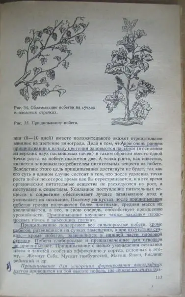 Коваль Н.М., Комарова Е.С., Мартьянова О.А.	Настольная книга виноградаря. 4