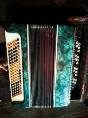 Баян В чемодане