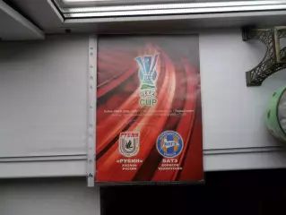 РУБИН - БАТЭ 10.08.2006