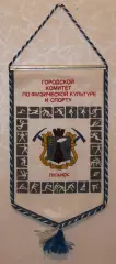 Вимпел Іскра Луганськ, 17х28 см