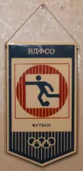 Вимпел ВДФСТ профспілок України, 11х19 см