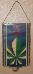 Вимпел Динамо Київ - Динамо Москва - 11.06.1981 / Дем'яненко, 12х19 см