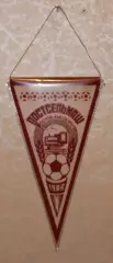 Вимпел Ростсільмаш Ростов-на-Дону - 1988, 10х19 см