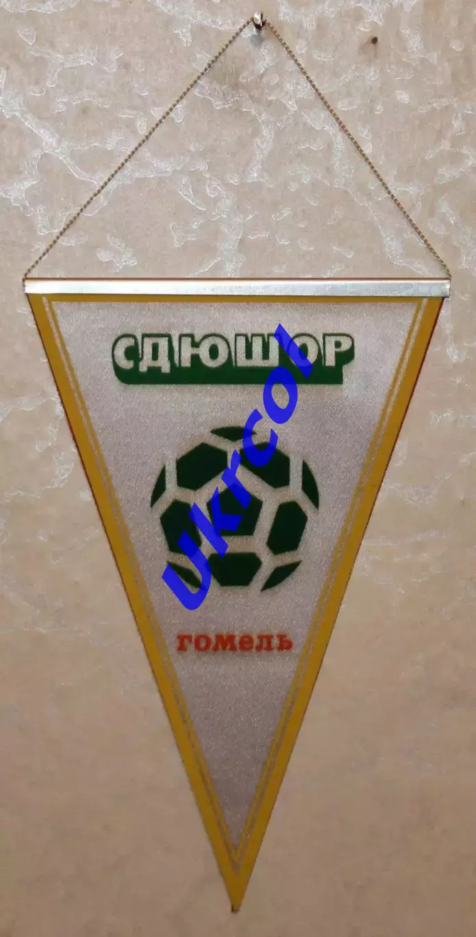 Вимпел СДЮШОР Гомель, 11х16 см