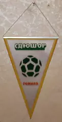 Вимпел СДЮШОР Гомель, 11х16 см