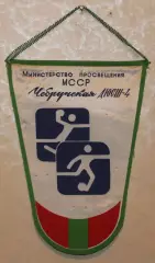 Вимпел Чобруцька ДЮСШ-4, 14х20 см