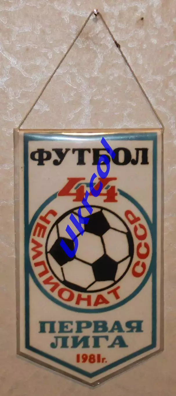 Вимпел Факєл Воронєж - 1981, 9х17 см 1