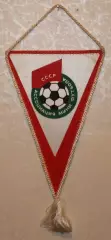Вимпел Асоціація міні футболу СРСР - Чемпіонат СРСР по міні-футболу, 15х23 см