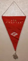 Вимпел ДСТ Спартак, 21х30 см