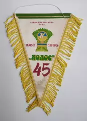 Вимпел Львівська обласна рада Колос - 50 років 1950-1995, 19х32 см.