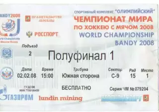 Билет Россия - Финляндия 02.02.2008 Чемпионат мира по хоккею с мячом
