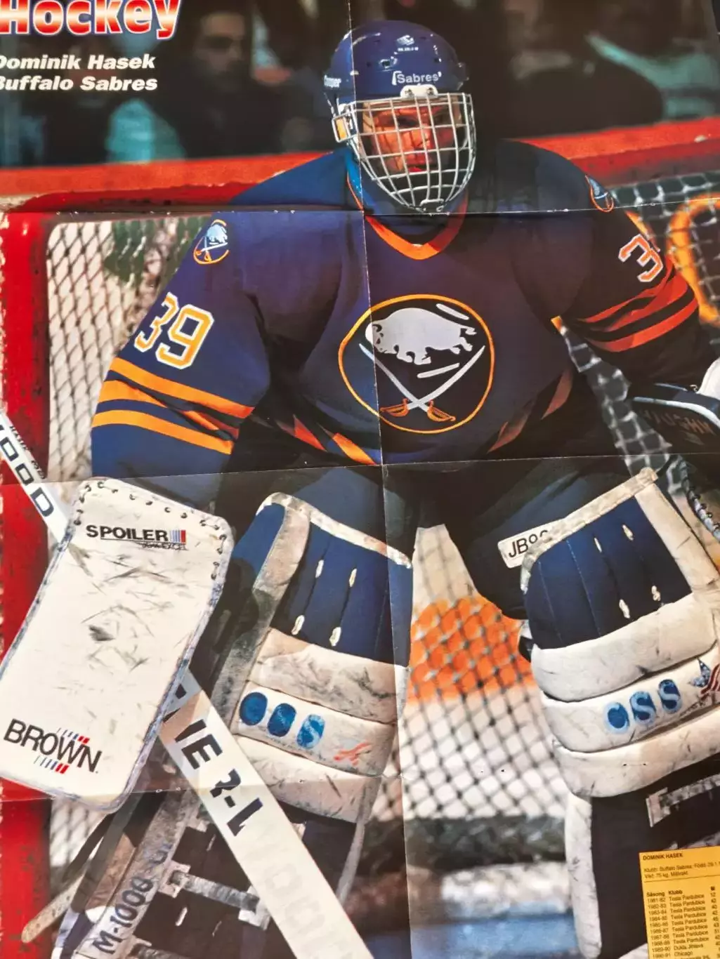 ЖУРНАЛ ВНУТРИ ХОККЕЯ НХЛ 1995 NHL INSIDE HOCKEY #3 POSTER 6