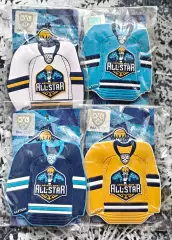 ХОККЕЙ МАГНИТ КХЛ МАТЧ ВСЕХ ЗВЕЗД АСТАНА 2018 KHL ALL STAR GAME HOCKEY MAGNIT