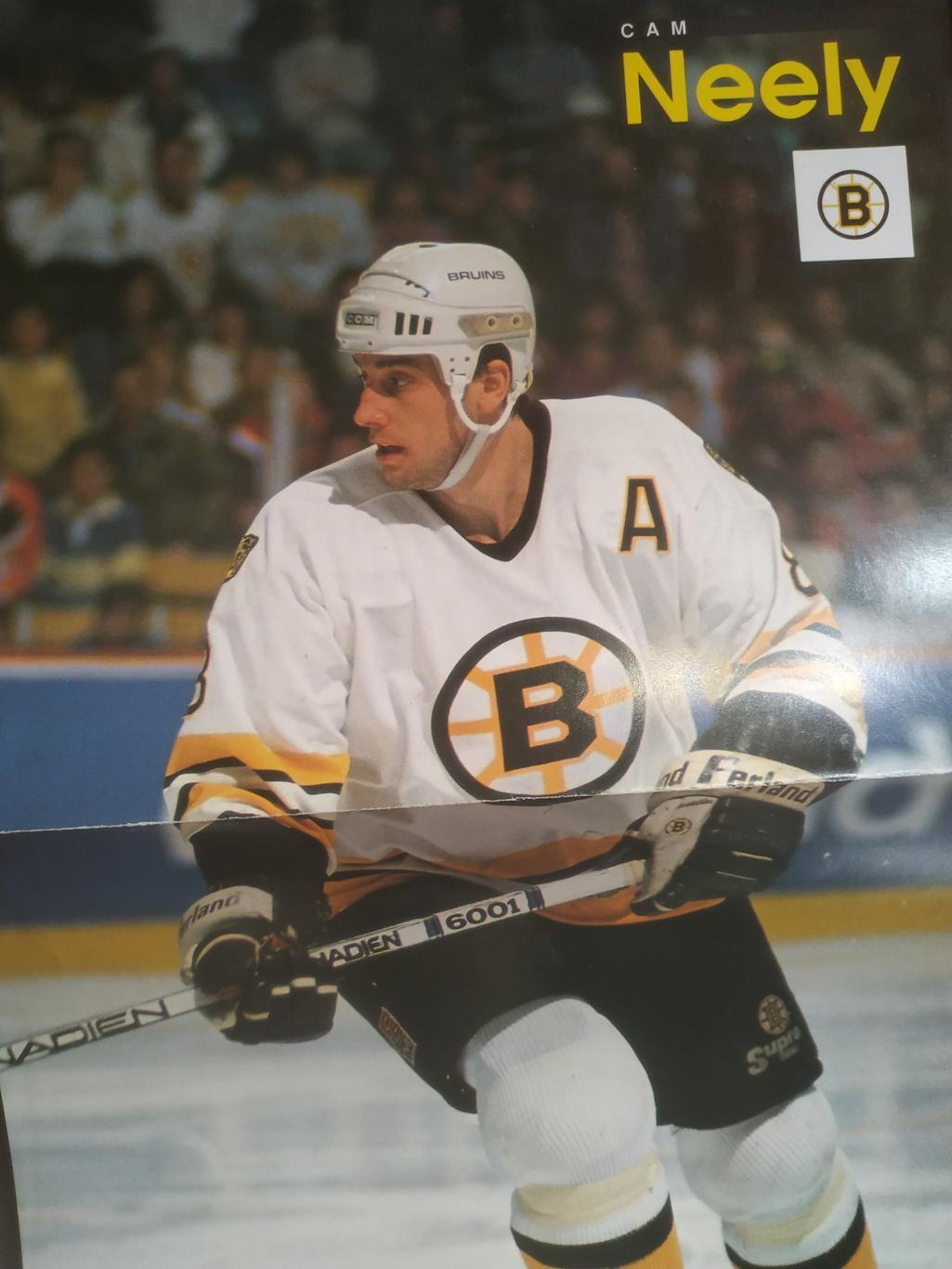 ХОККЕЙ ПОСТЕР НХЛ БОСТОН КЭМ НИЛИ POSTER NHL BOSTON CAM NEELY #8 А3