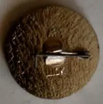 ЗНАЧОК НХЛ ХОККЕЙ 1969 ШВЕЦИЯ ЧЕМПИОНЫ МИРА ХОККЕИСТЫ СССР 1