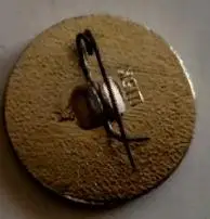 ЗНАЧОК НХЛ ХОККЕЙ 1963 ШВЕЦИЯ ЧЕМПИОНЫ МИРА ХОККЕИСТЫ СССР 1