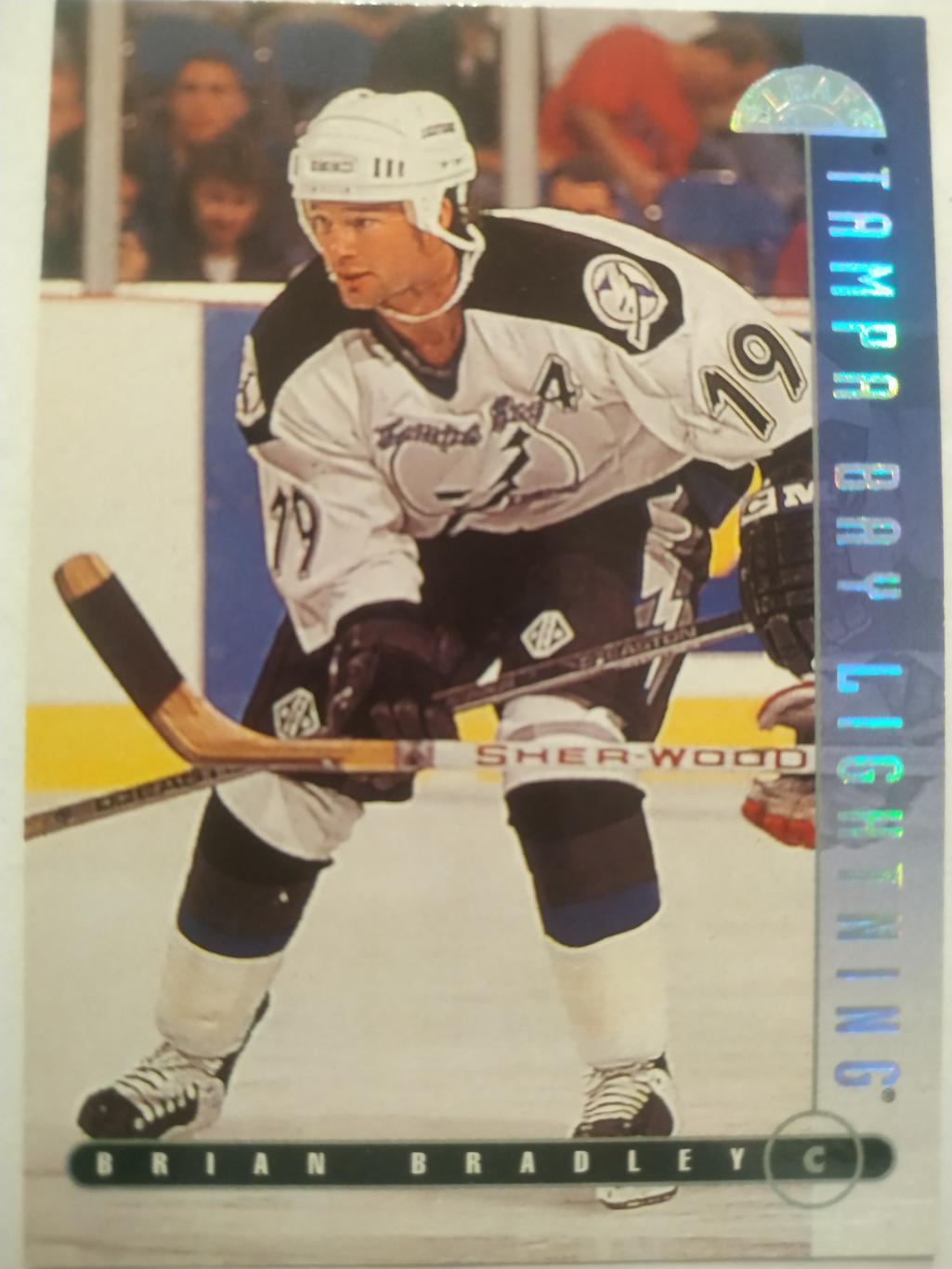 ХОККЕЙ КАРТОЧКА НХЛ DONRUSS LEAF 1995-96 BRIAN BRADLEY TAMPA BAY LIGHNTING #159