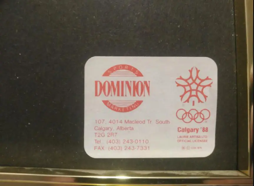 ХОККЕЙ НАБОР ЗНАЧКОВ 1988 КАЛГАРИ ОЛИМПИЙСКИЕ ИГРЫ CALGARY HOCKEY PIN#8 6