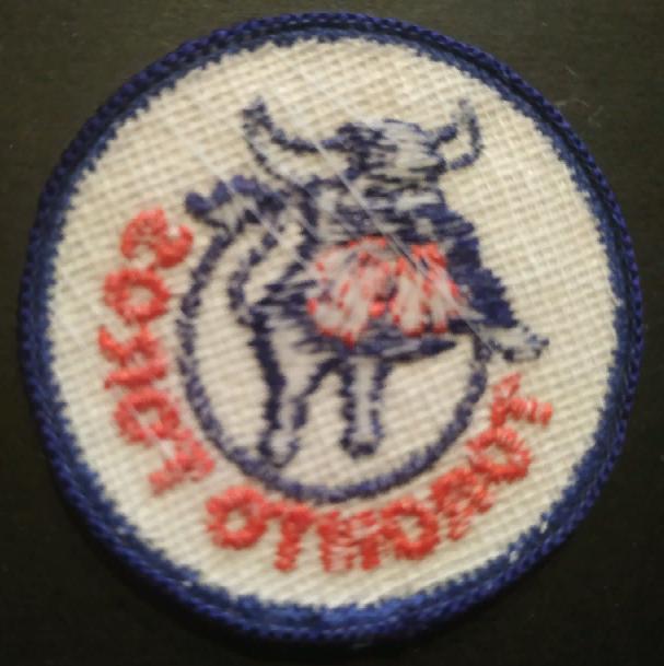 ХОККЕЙ НАШИВКА ВХА ТОРОНТО ТОРОС 1973-1976 WHA TORONTO TOROS OFFICIAL PATCH 1