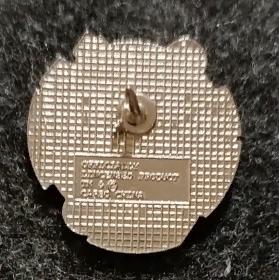 ХОККЕЙ ЗНАК КУБОК МИРА ПО ХОККЕЮ АМЕРИКА 1996 WORLD CUP OF HOCKEY TEAM USA PIN 1