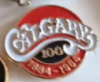 ХОККЕЙ ЗНАK НХЛ 100 ЛЕТ КАЛГАРИ 1884-1984 NHL ANNIVERSARY CALGARY PIN 1