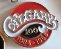 ХОККЕЙ ЗНАK НХЛ 100 ЛЕТ КАЛГАРИ 1884-1984 NHL ANNIVERSARY CALGARY PIN