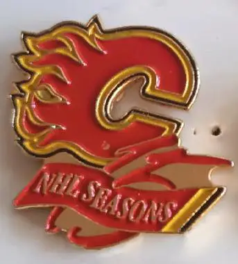 ХОККЕЙ ЗНАK НХЛ 15 ЛЕТ КАЛГАРИ ФЛЭЙМС 1980-1995 NHL ANNIVERSARY CALGARY FLAMES