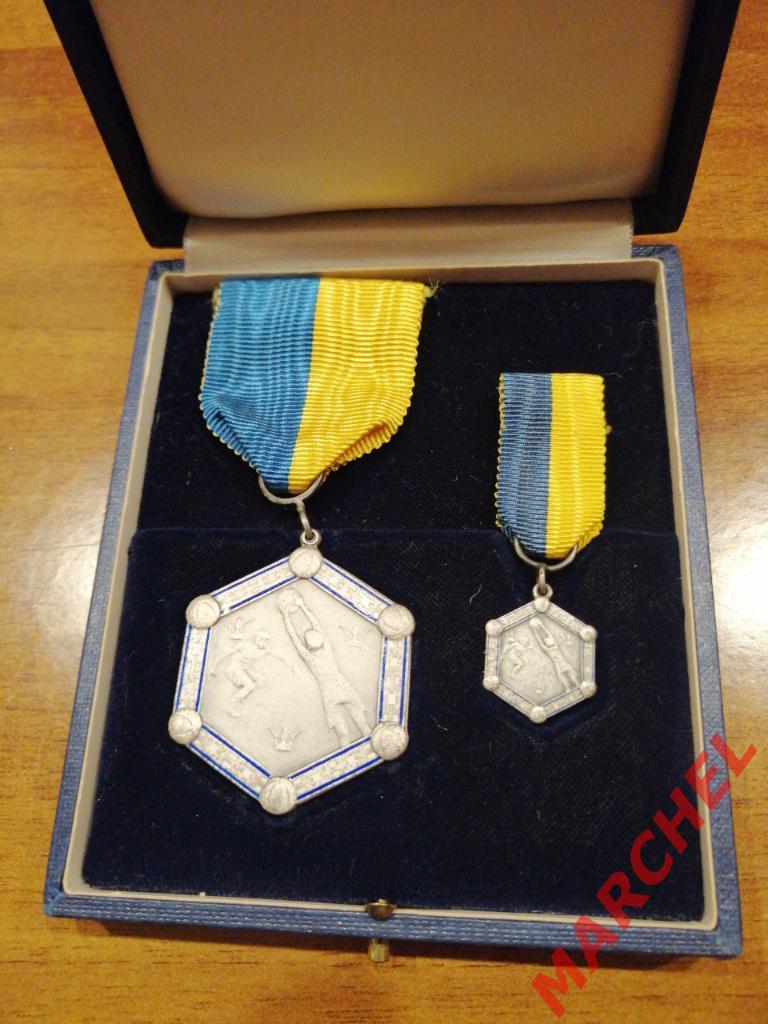 Медаль и фрачник чемпиона Швеции по футболу.