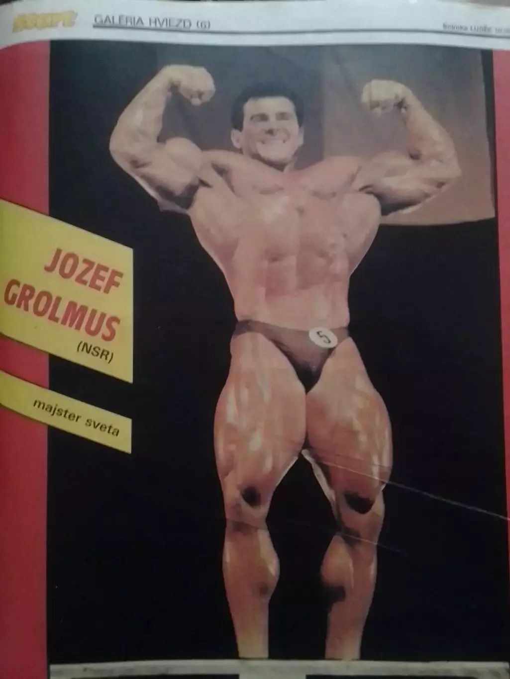 Постер.Культуристика Jozef GROLMUS -чемпион мира..28х31 см. Оптом скидки 30%!