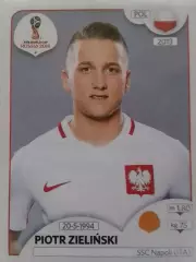 Паннини. Piotr ZELINSKI. Польша, Наполи (Итал.) ЧМ 2018. Оптом скидки 30%