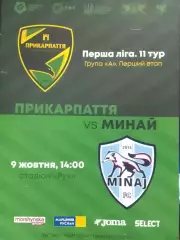 ПРИКАРПАТТЯ-ЗСУ Івано-Франківськ - МИНАЙ - 9.10.2024. Оптом скидки до 30%!