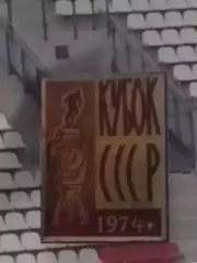 Футбольн значок. 1973. КУБОК СССР. Оптом скидки до 30%!