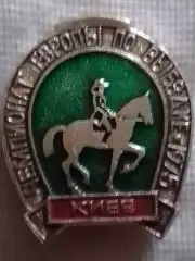 Чемпионат Европы по ВЬІЕЗДКЕ 1975 Киев. Оптом скидки до 30%!