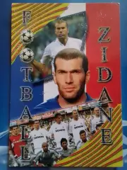 ZIDANE - 2/ Зінедін ЗИДАН (Франція) календарик 2006. оптом скидки до 30%!