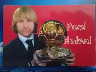 NEDVID. Павел НЕДВЕД Чехия. Календарик 2005. Оптом скидки до 30%!