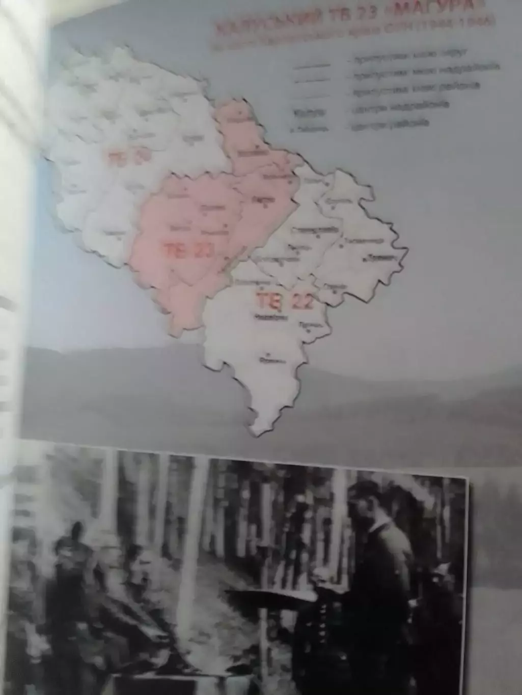 С.Лесів. КУРІНЬ УПА ПРОМІНЬ Історія формування.. Раритет. Оптом скидки до 30%! 2