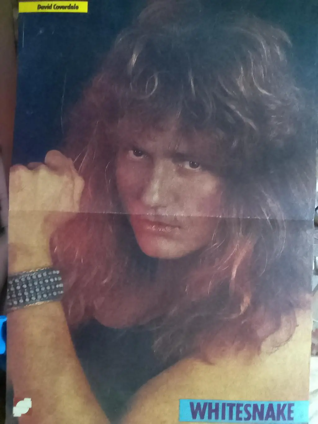 Девид Ковердейл (Whitesnake) из польск. журнала Разем 33х47см. Оптом скидки 33%!