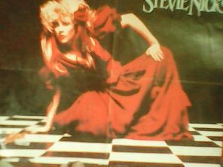 Постер Stevie Nicks|Doobie Brothers. Oптом скидки до-50%!