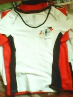 футболка Евро 2016. При заказе 2-х лотов скидка 2%..36-ти и более 36%!