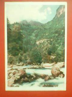 Почтовая карточка. По дороге на озеро Рица 1954 г. (цветное фото.)
