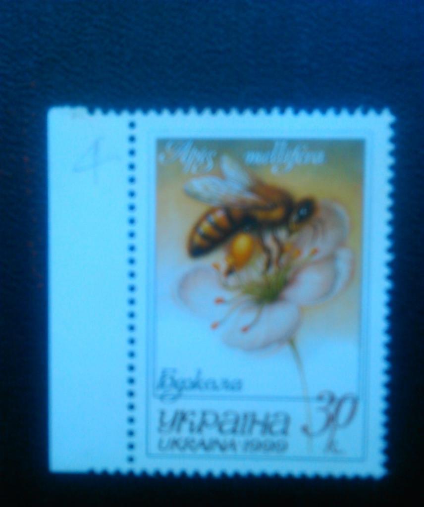 Украина.1999. №254. Пчела.(л.кр.) коллекционная марка.