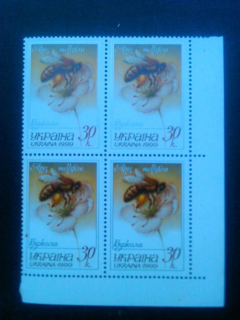 Украина.1999. №254. Пчела.(л.кр.) коллекционная марка. 1