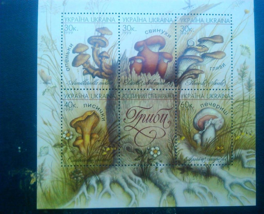 Украина.1999. №276-280.Блок Грибы.(.) коллекционная марка.