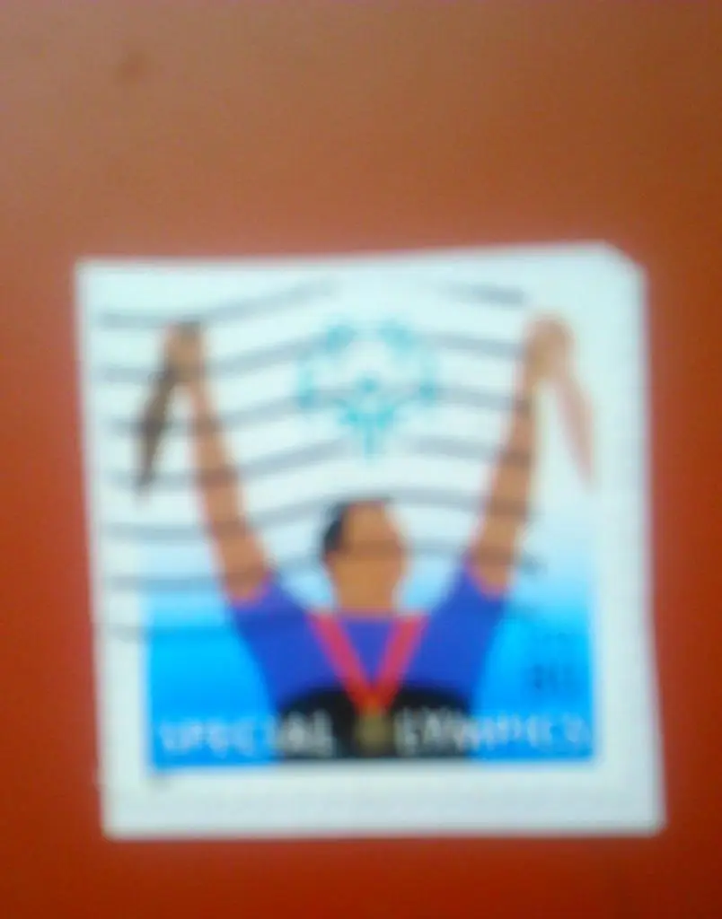 Марка США.2003.№3248. Специальная олимпийская марка.