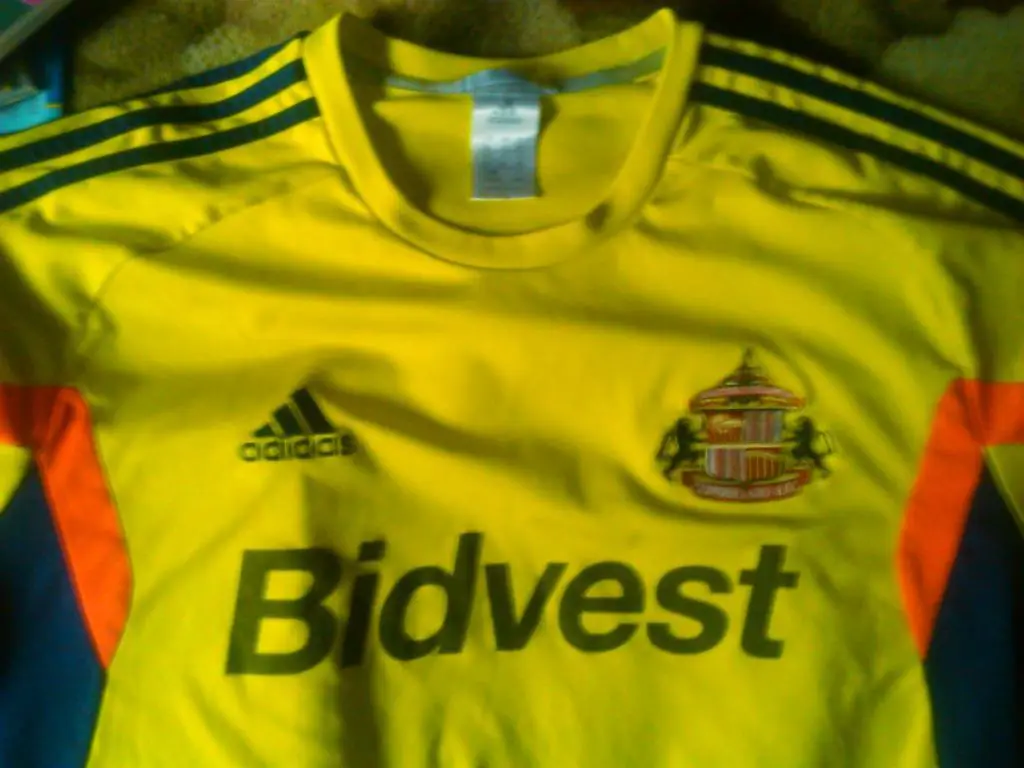 футболка SUNDERLAND A.F.C. Оптом скидки до 36%! 1