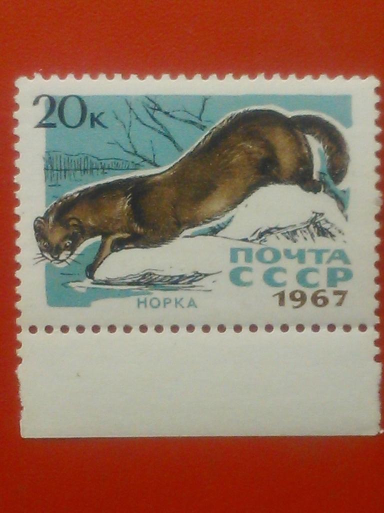 Почта СССР.1967 г.№3183. Норка. -20 к. коллекционная марка.