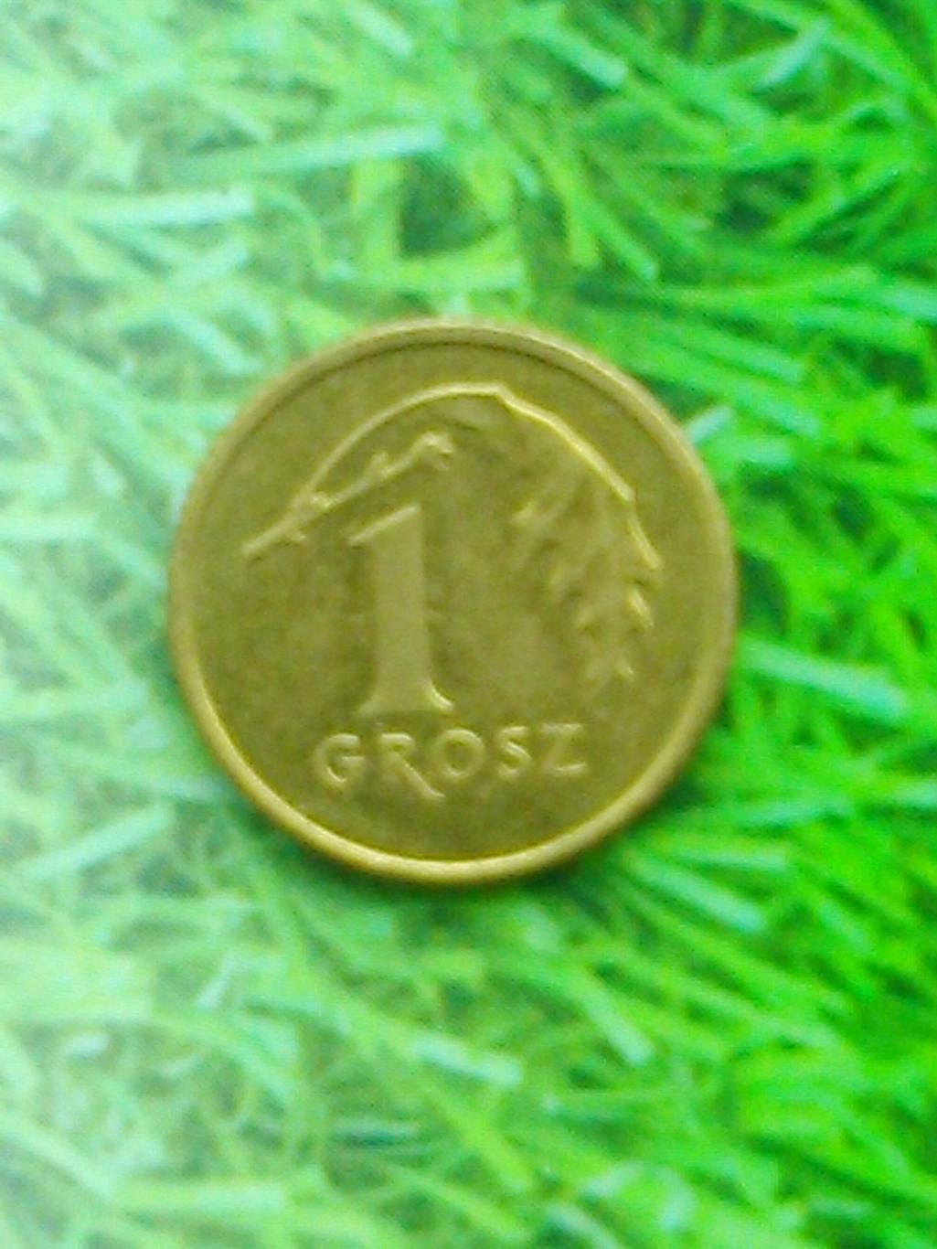 1 грош Польши 1992. Y#276